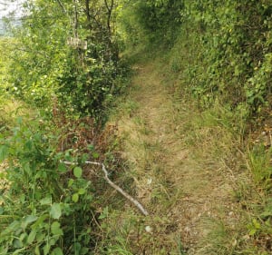 Sentier du Teroundel de Mouzieys - Mouzieys-Panens - 4