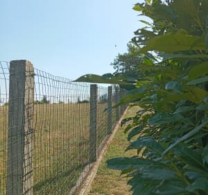 Boucle du Parc la vallée. - Mantes-la-Ville - 2