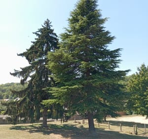 Boucle du Parc la vallée. - Mantes-la-Ville - 4