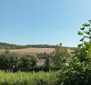 Boucle du Parc la vallée. - Mantes-la-Ville - 5