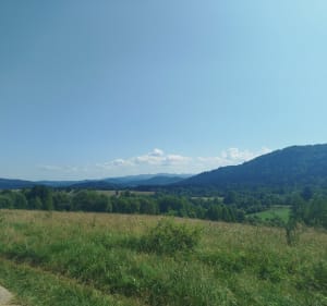 Trochaniec,otryt wyżny - Lutowiska - 2