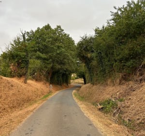 Boucle entre Mérignas et Saint Vincent de Pertignas - Mérignas - 2