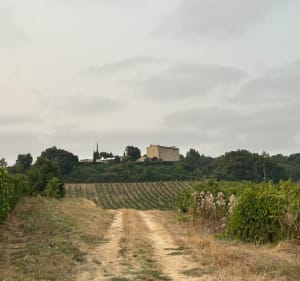 Boucle entre Mérignas et Saint Vincent de Pertignas - Mérignas - 4