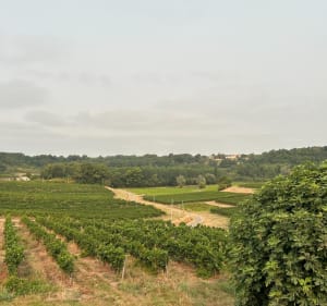 Boucle entre Mérignas et Saint Vincent de Pertignas - Mérignas - 5