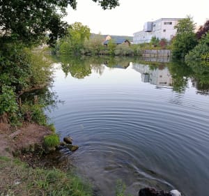 Balade le long des étangs et rivière à Couloisy - Couloisy - 2