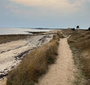 Sentier piéton le long de la côte de Locmariaquer - Locmariaquer - 3