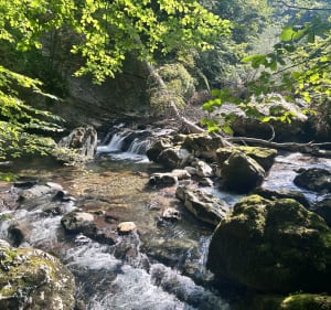 Balade rafraîchissante des Gorges du Guier Mort - Sébastien - 5