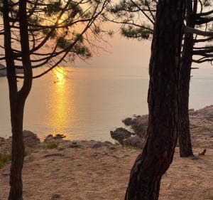 De Sant Feliu au port d’Aro - Sant Feliu de Guíxols - 2
