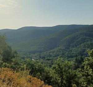 Boucle 100 km entre terre et mer Entre La Crau et Bormes - La Crau - 3