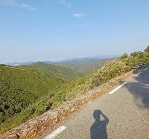 Boucle 100 km entre terre et mer Entre La Crau et Bormes - La Crau - 4