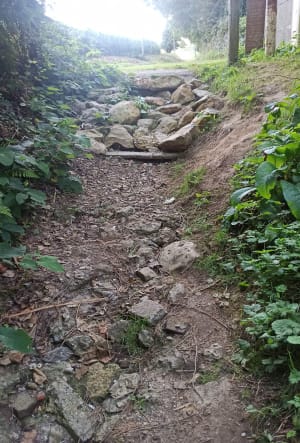 Le domaine des Hogues - Yport - 8