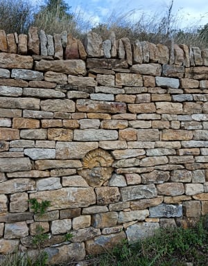 Balade au Mont des Tartres à Lons-le-Saunier - Lons-le-Saunier - 2