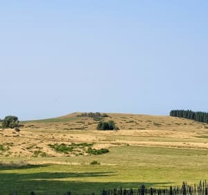 Marche depuis la Stèle ' Tour d'Auvergne - La Tour-d'Auvergne - 3