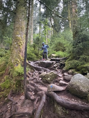 Saut de la Bourrique et Tête de Mérelle à Géradmer - Gérardmer - 4