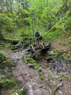 Saut de la Bourrique et Tête de Mérelle à Géradmer - Gérardmer - 6