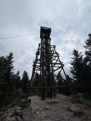 Saut de la Bourrique et Tête de Mérelle à Géradmer - Gérardmer - 7