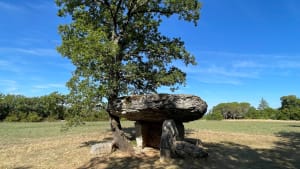 Flâner entre les dolmens caussenards - Limogne-en-Quercy - 3