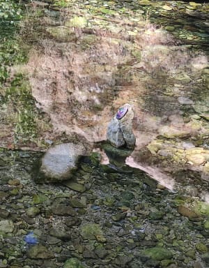 Le haut Latay, au départ de Chibron à Signes - Signes - 6