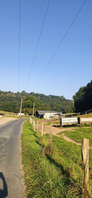 Entre étangs, vallons et forêts à Notre-Dame-de-Gravenchon - Port-Jérôme-sur-Seine - 7