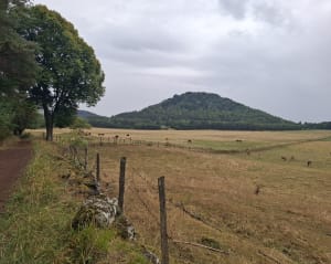 Du Puy de Vichatel à l'étang de Montlosier - Aydat - 11