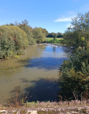 Sortie à Pont-de-Veyle - Pont-de-Veyle - 4