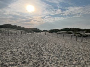 Boucle depuis Quend vers le sentier des Crocs - Quend - 6
