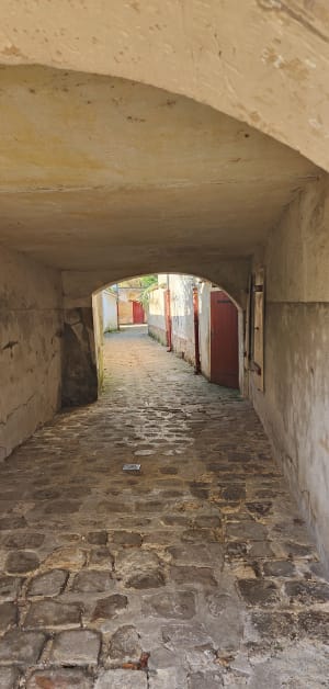 Venetië in Brie en een wandeling langs de kanalen - Crécy-la-Chapelle - 24
