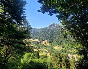 Balade estivale entre forêts et cascade au Mont-Dore - Pascaline - 3