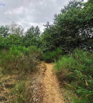 Les Dunes des Charmes à Sermoyer - Sermoyer - 5