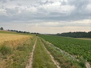 Rando à Zudausques et Cormette - Zudausques - 6