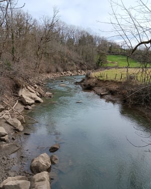 Tour du Lac de Pont - Pont-et-Massène - 21