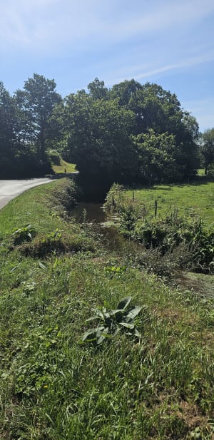 Hôtels en Vallée  du Lozon - Marigny-le-Lozon - 8