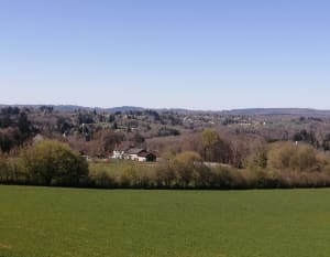 Sentier en bords de Vienne et forêt - Saint-Just-le-Martel - 9