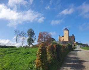 Pédaler entre l’Escaladieu et le château de Phoebus - Bonnemazon - 4