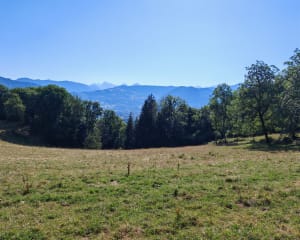 Petit tour de la Biolle - Marnaz - 3