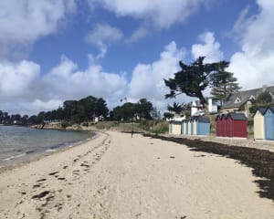 Île-aux-Moines, La pointe du Trec'h - Île-aux-Moines - 17