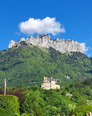 Kasteellus van Menthon en de kleuren van het meer van Annecy - Menthon-Saint-Bernard - 17