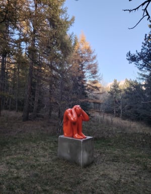 Le musée sans murs - Font-Romeu-Odeillo-Via - 27