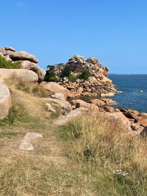 Douanepad tussen Perros-Guirec en Trégastel - Perros-Guirec - 14
