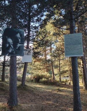 Le musée sans murs - Font-Romeu-Odeillo-Via - 28