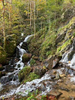 Andlauwaterval aan de Hohwald-zijde - Le Hohwald - 28
