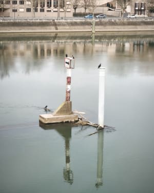 Mâcon, van de ene oever naar de andere - Mâcon - 3