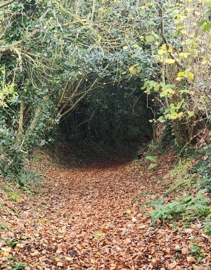 Sentier de la Brûlette - Foulbec - 13