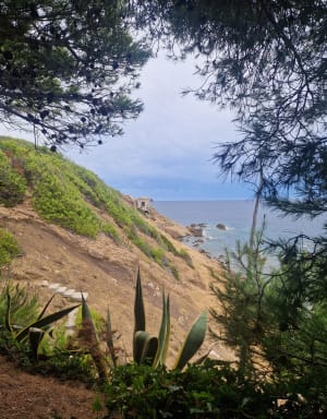 Contour de Pin Rolland - Saint-Mandrier-sur-Mer - 6