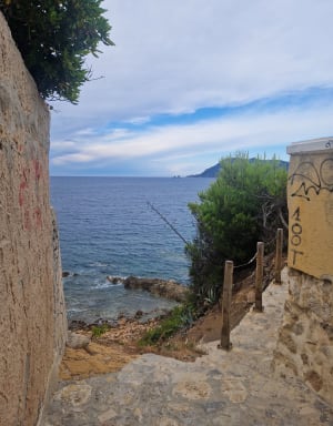 Contour de Pin Rolland - Saint-Mandrier-sur-Mer - 7