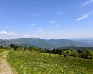 Grand Ballon Lake en prachtige landschappen - Cernay - 22