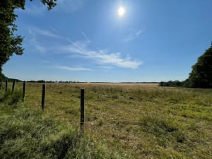 Bois du Roi et la Vallée aux Loups - Fabrice - 3