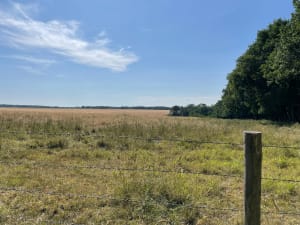 Bois du Roi et la Vallée aux Loups - Fabrice - 4
