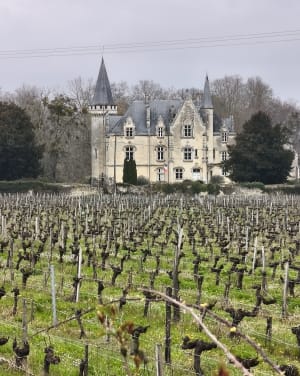 Blaye et virée enchanteresse dans les coteaux - Blaye - 9
