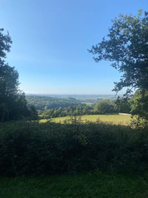 Sentier des jacinthes - Sain Jans de Cappel - 17